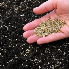 GreenView Fairway Formula Turf Type Tall Fescue Shady Grass Seed Mixture, bag 5 lb   566878884